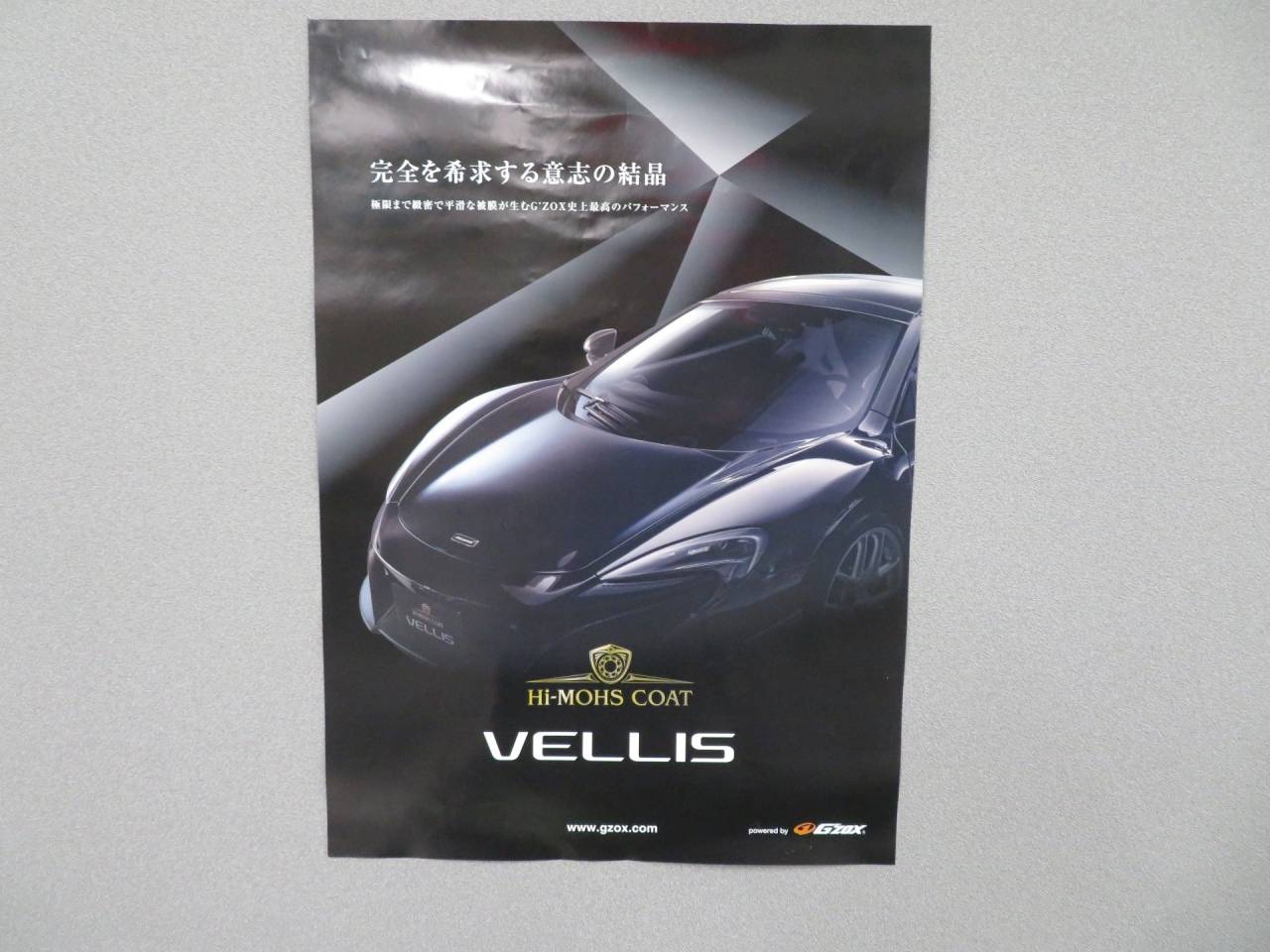 ハイモースコート ヴェリス 登場!